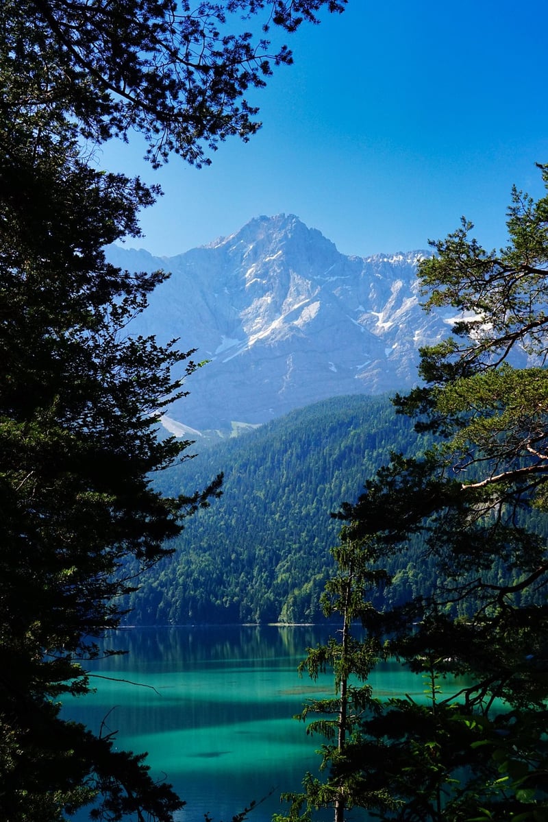 Swiss Alps